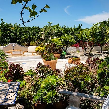 Отель Casa Vale Del Rei Тавира Экстерьер фото